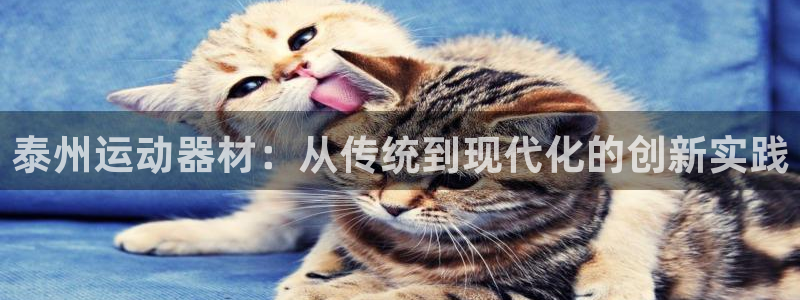 征途国际开户：泰州运动器材：从传统到现代化的创新实践
