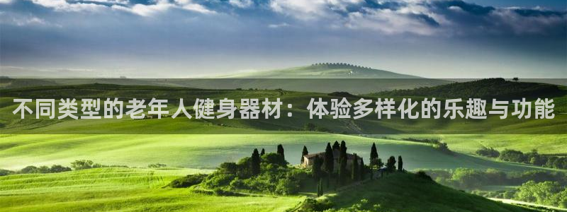 征途国际新能源：不同类型的老年人健身器材：体验多样化