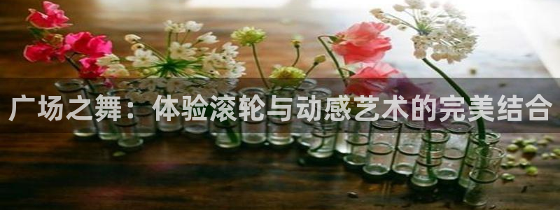 海南征途国际发展怎么样：广场之舞：体验滚轮与动感艺术