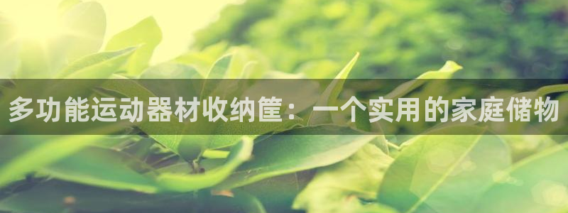 征途国际平台注册：多功能运动器材收纳筐：一个实用的家庭储物