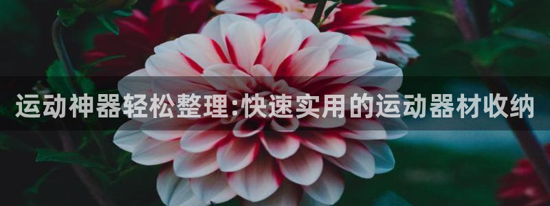 征途国际集团logo：运动神器轻松整理:快速实用的运