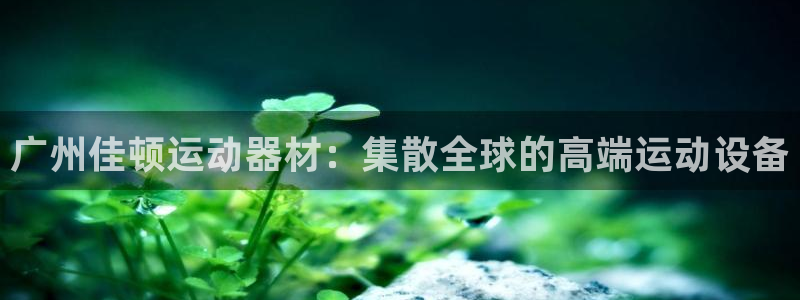 征途国际注册：广州佳顿运动器材：集散全球的高端运动设