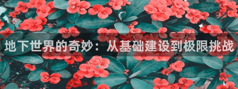 注册征途国际：地下世界的奇妙：从基础建设到极限挑战