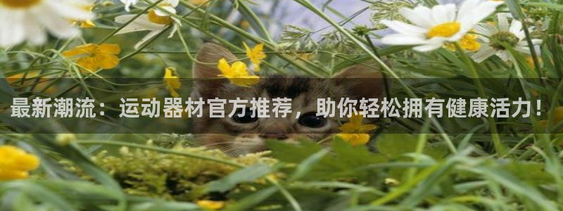 征途国际集团官网首页网址：最新潮流：运动器材官方推荐