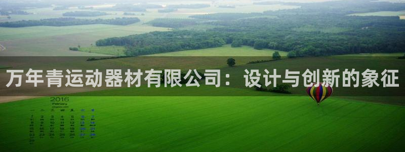 海南征途国际