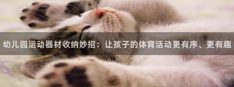 征途国际是干嘛的公司：幼儿园运动器材收纳妙招：让孩子的体育活
