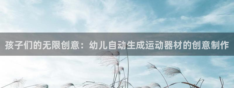 征途国际是干嘛的公司：孩子们的无限创意：幼儿自动生成运动器材