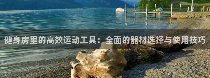 征途国际平台注册流程图：健身房里的高效运动工具：全面的器材选