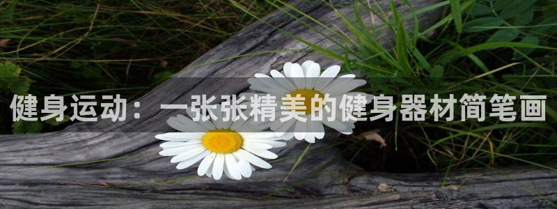征途国际平台体育：健身运动：一张张精美的健身器材简笔画