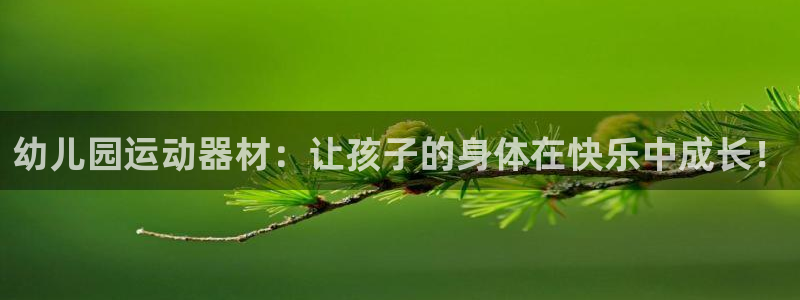 征途国际科技：幼儿园运动器材：让孩子的身体在快乐中成长！