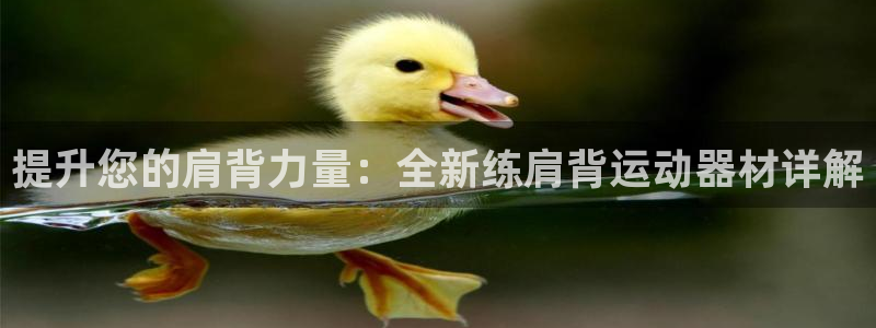 征途国际平台体育：提升您的肩背力量：全新练肩背运动器材详解