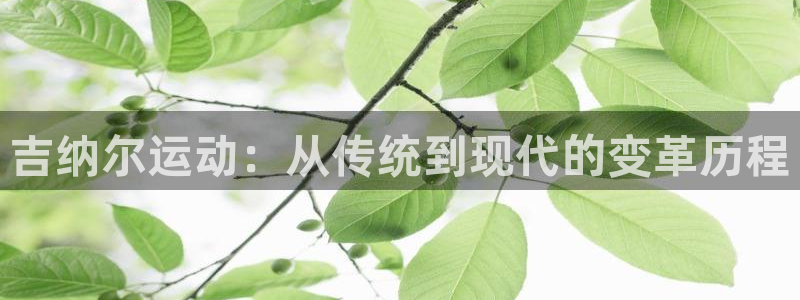 征途国际平台注册流程图：吉纳尔运动：从传统到现代的变