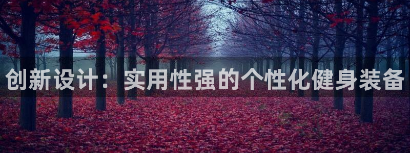 征途国际新能源：创新设计：实用性强的个性化健身装备