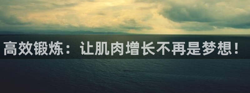 征途国际娱乐代理怎么样：高效锻炼：让肌肉增长不再是梦