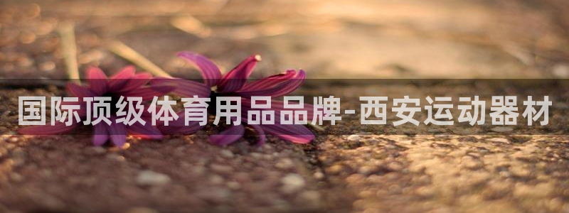 征途国际招商电话号码：国际顶级体育用品品牌-西安运动