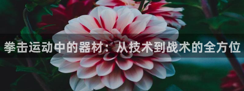征途国际招商电话号码查询：拳击运动中的器材：从技术到战术的全
