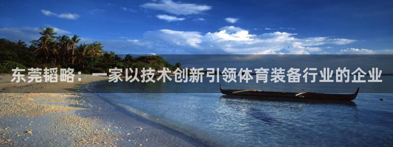 征途国际平台注册流程图：东莞韬略：一家以技术创新引领体育装备