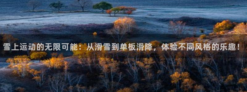征途国际招商电话号码是多少：雪上运动的无限可能：从滑雪到单板
