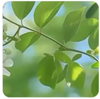 抖音怎么拉流量涨粉
